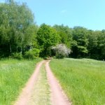 wandern_23 6